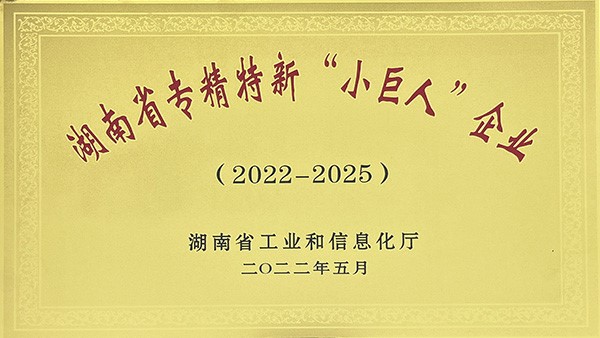 2022年湖南省專(zhuān)精特新“小巨人”企業(yè)名單